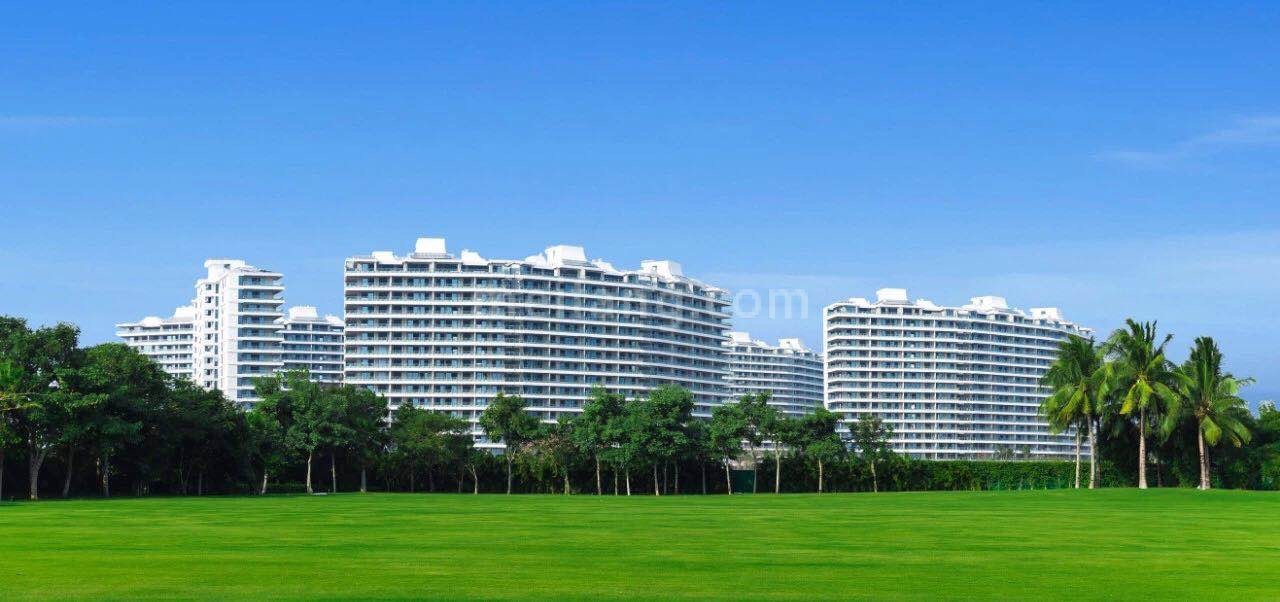 艺海棠