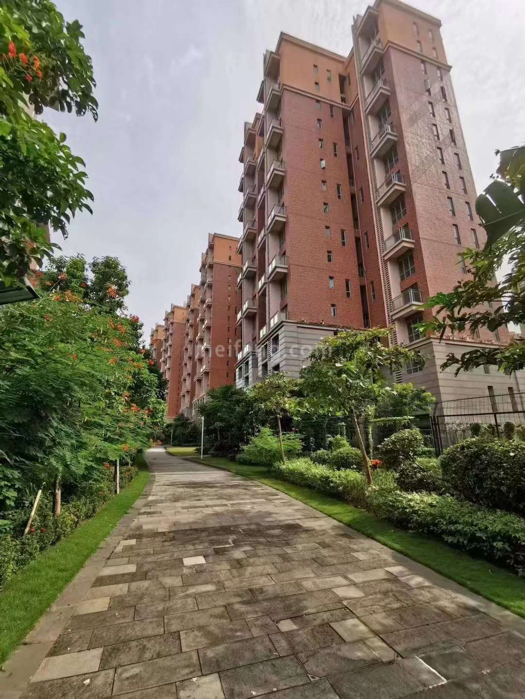 观澜湖中央公园二区