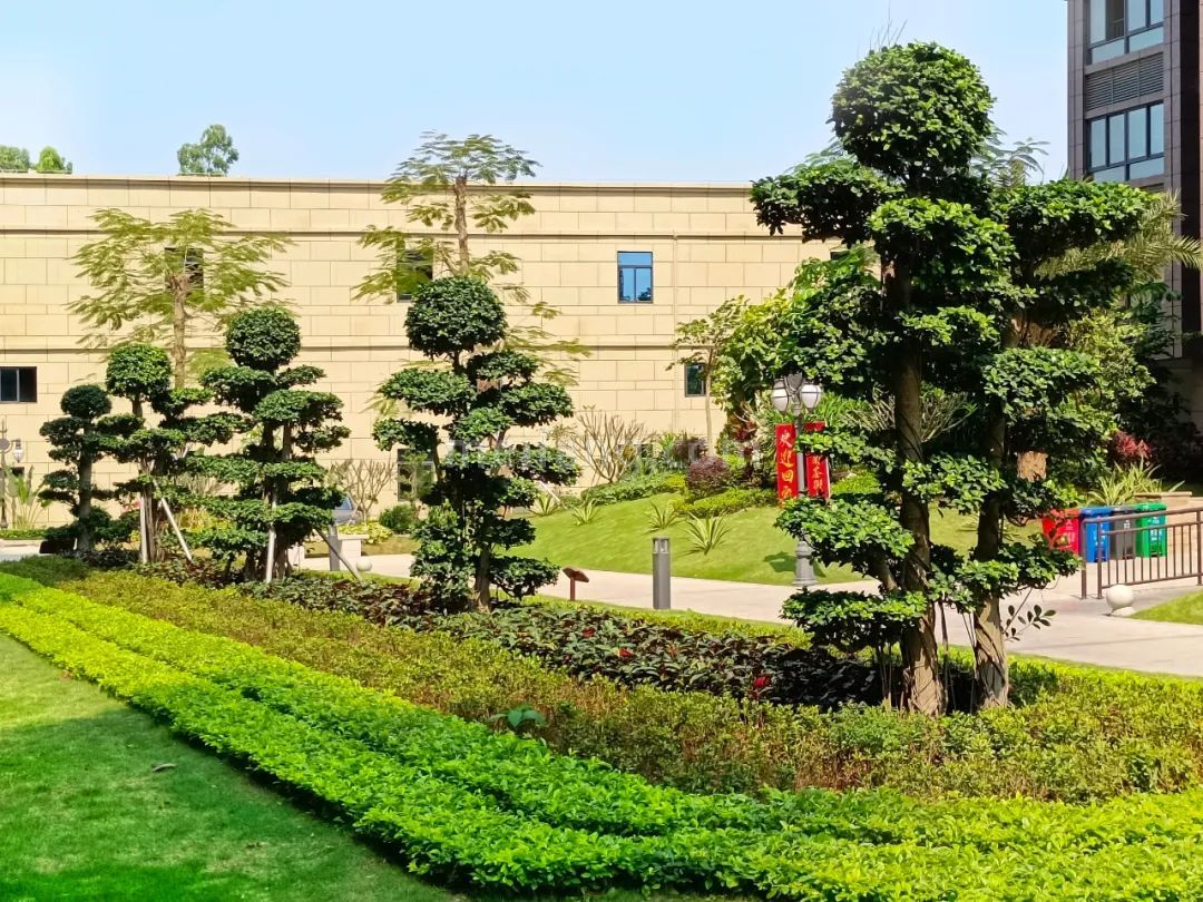 鸿信&middot;南茶御景