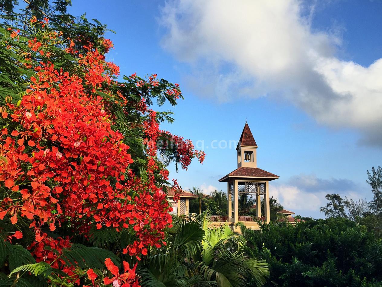石梅山庄石梅山庄实景图