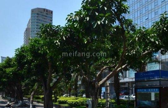 实景图
