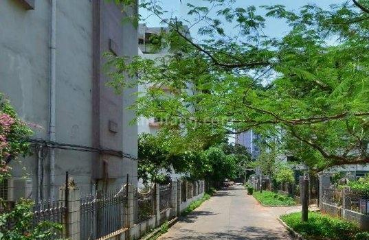 实景图