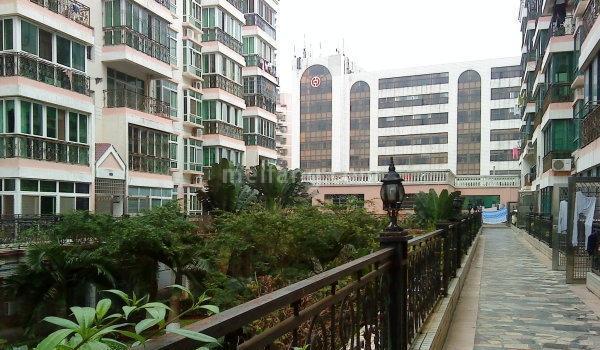 实景图