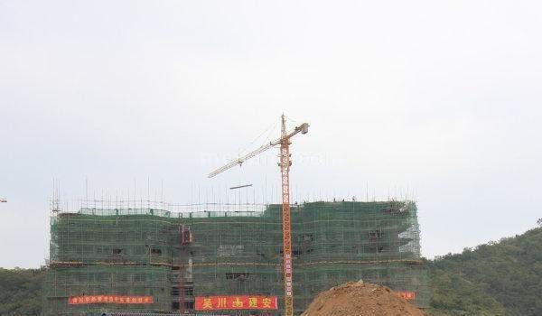 实景图