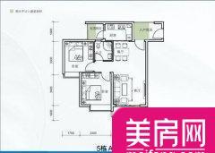 滨海国际