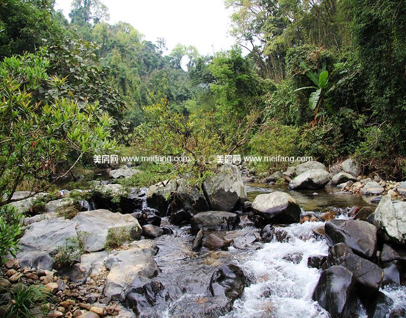 圣煜颐山居周边配套：热带雨林