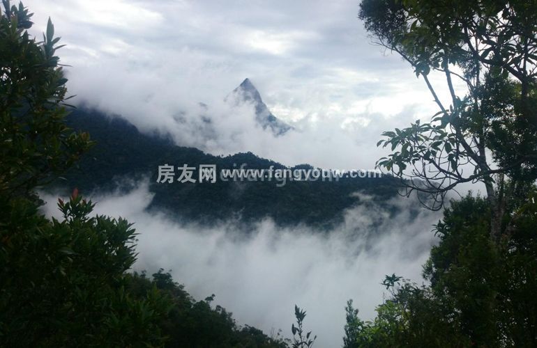 中和龙沐湾海润源