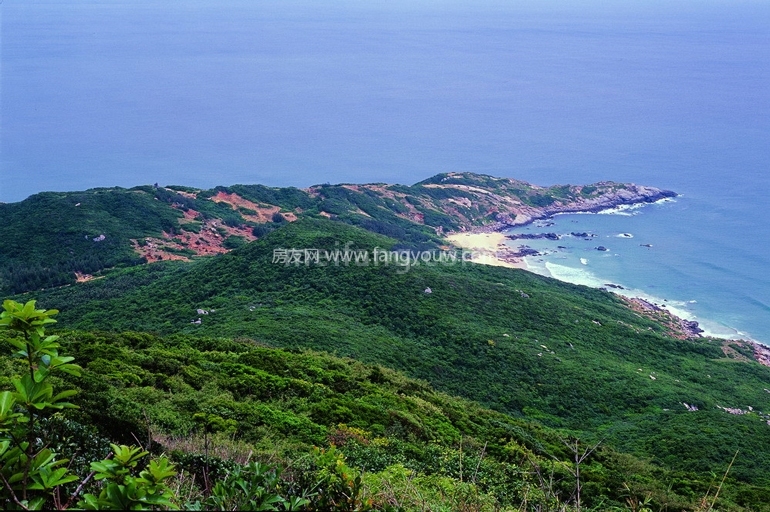 鲁能山海天