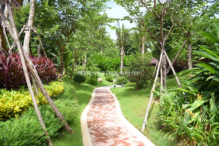 双大野奢世界实景图	