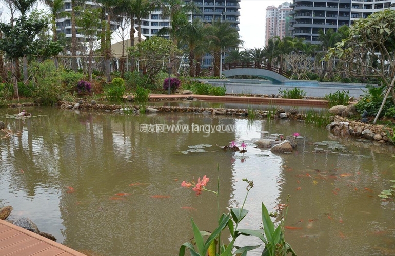 海东方实景图